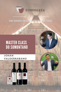Master Class DO Somontano