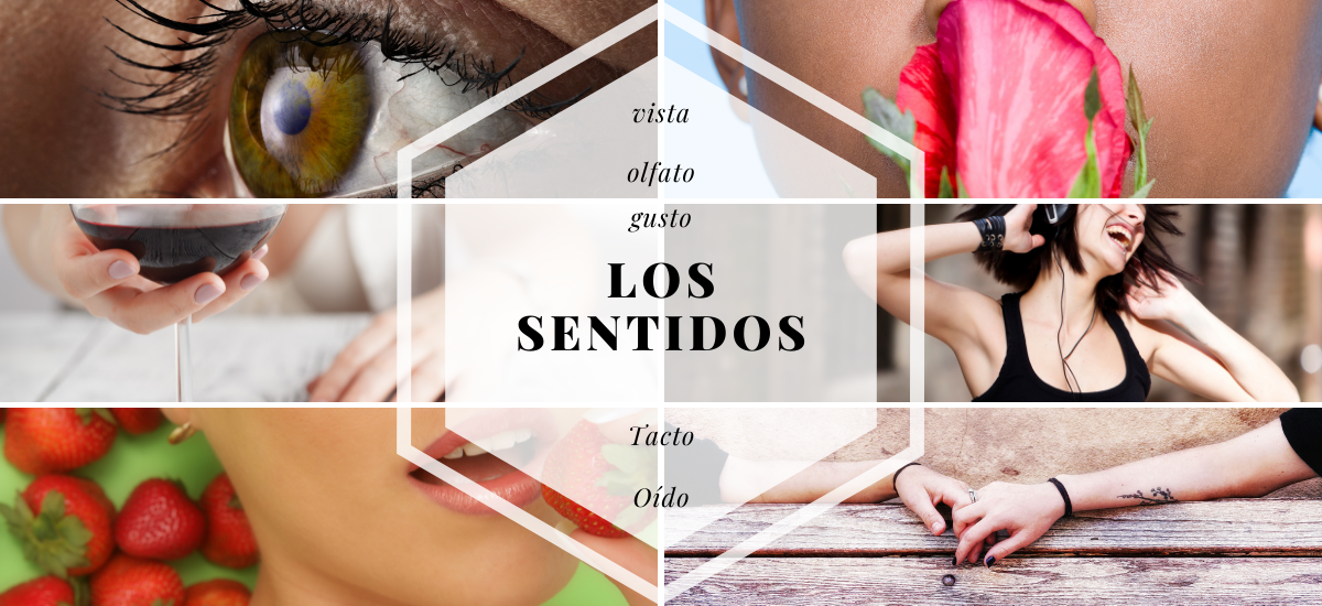 Experiencias Sensoriales